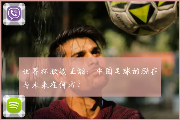 世界杯激战正酣，中国足球的现在与未来在何方？