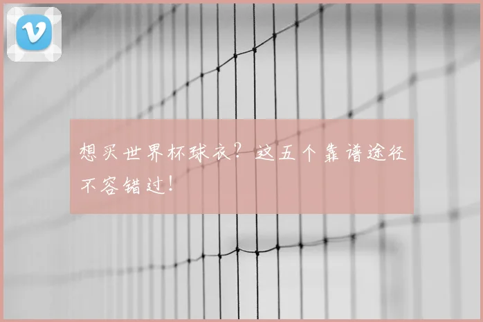 想买世界杯球衣？这五个靠谱途径不容错过！