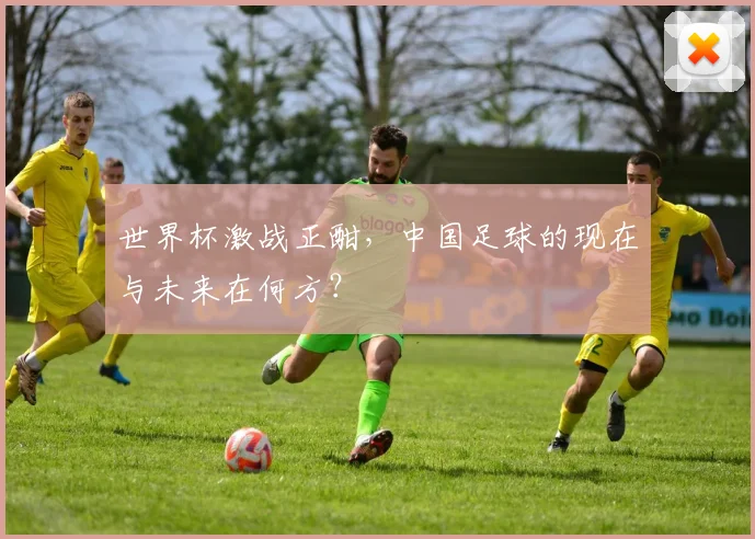 世界杯激战正酣，中国足球的现在与未来在何方？
