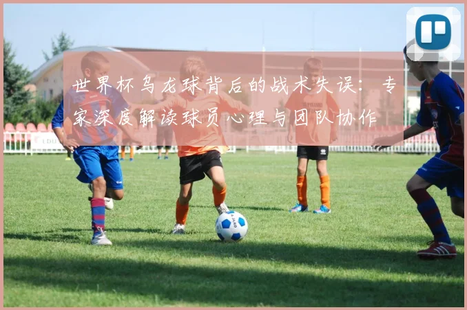 世界杯乌龙球背后的战术失误：专家深度解读球员心理与团队协作