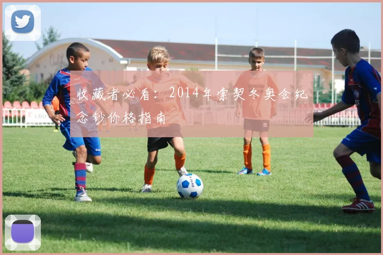 收藏者必看：2014年索契冬奥会纪念钞价格指南